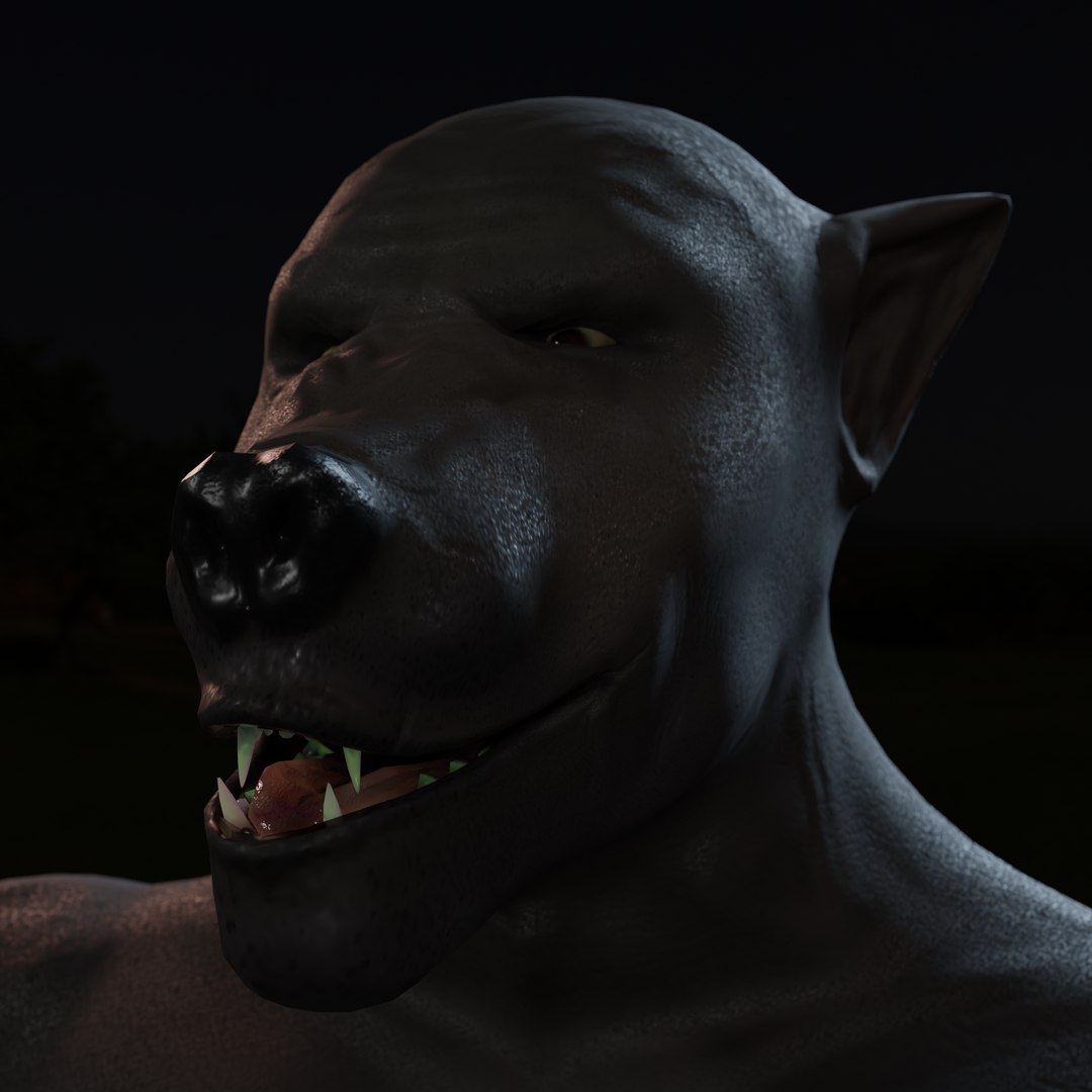 Werewolf Fully Rigged 3D Model - TurboSquid 1977386