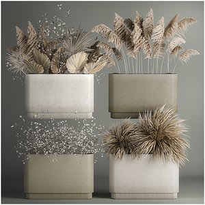 3D Plants In Flowerpots Made Of Dried Flowers model