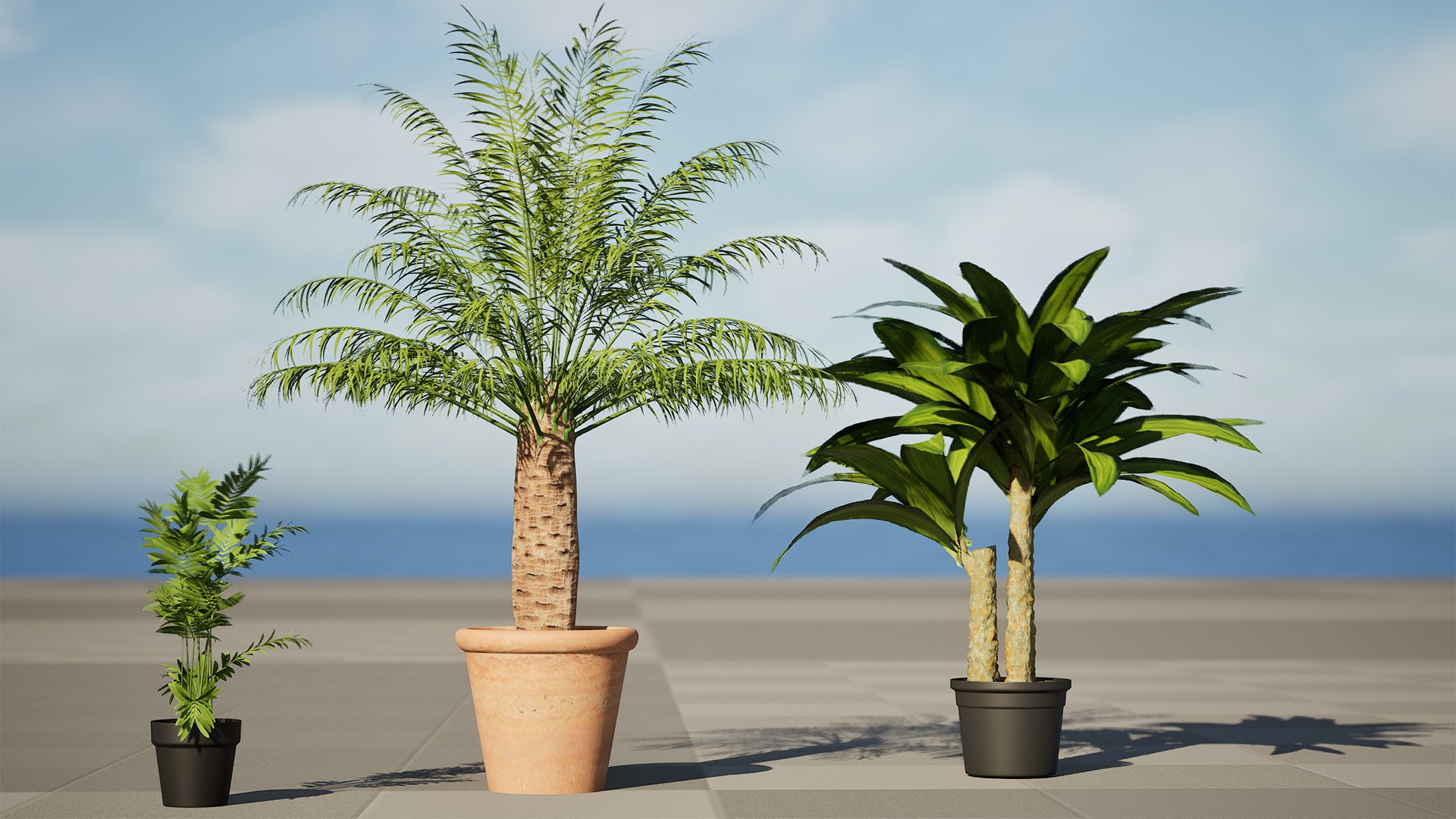 3D Potted Palm Trees https://p.turbosquid.com/ts-thumb/Bg/fnr16U/0t/highresscreenshot00000689/jpg/1721052096/1920x1080/fit_q87/52e22436db402a5cca08bcf0f9eb211719300142/highresscreenshot00000689.jpg