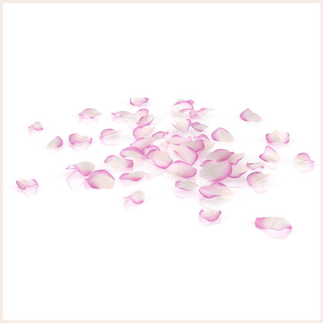 Flower Rose Petal Plant Model - Turbosquid 1407498