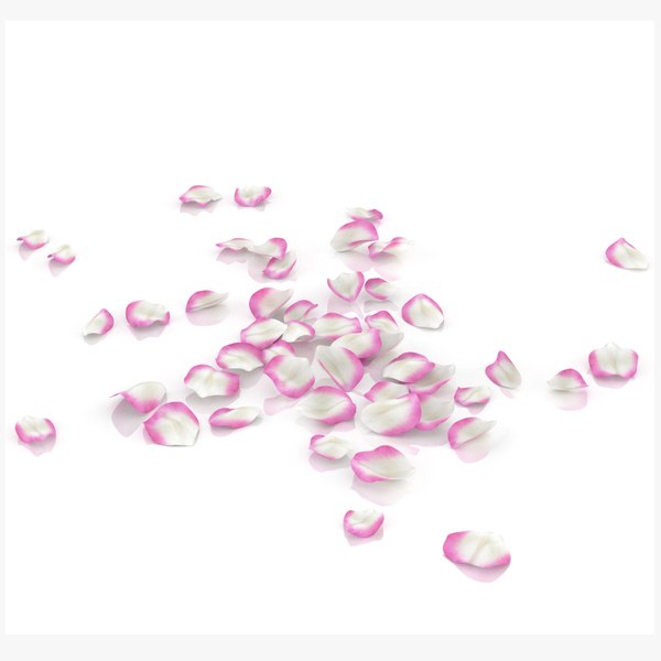 3d model rose petals