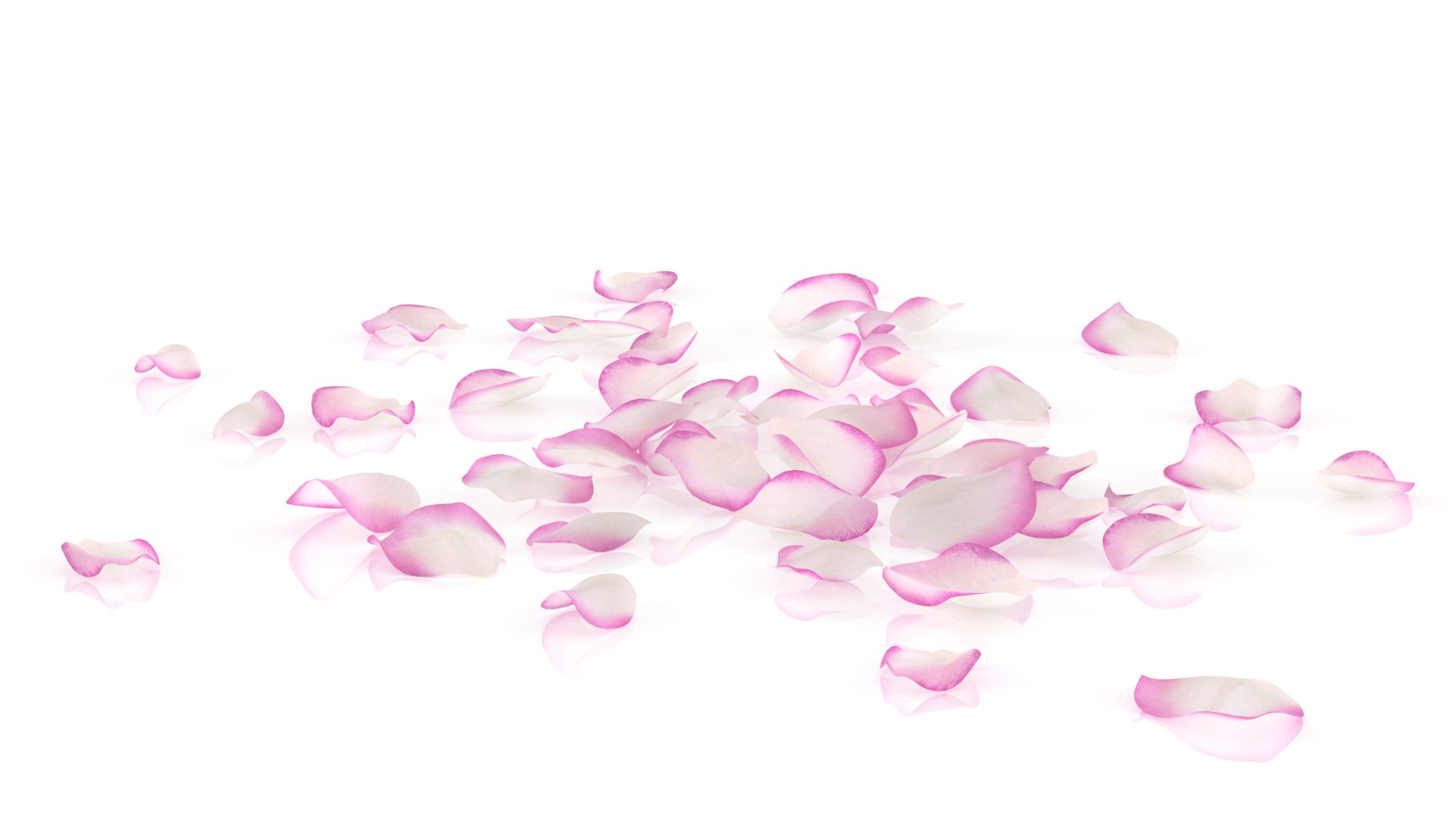 Flower rose petal plant model - TurboSquid 1407498