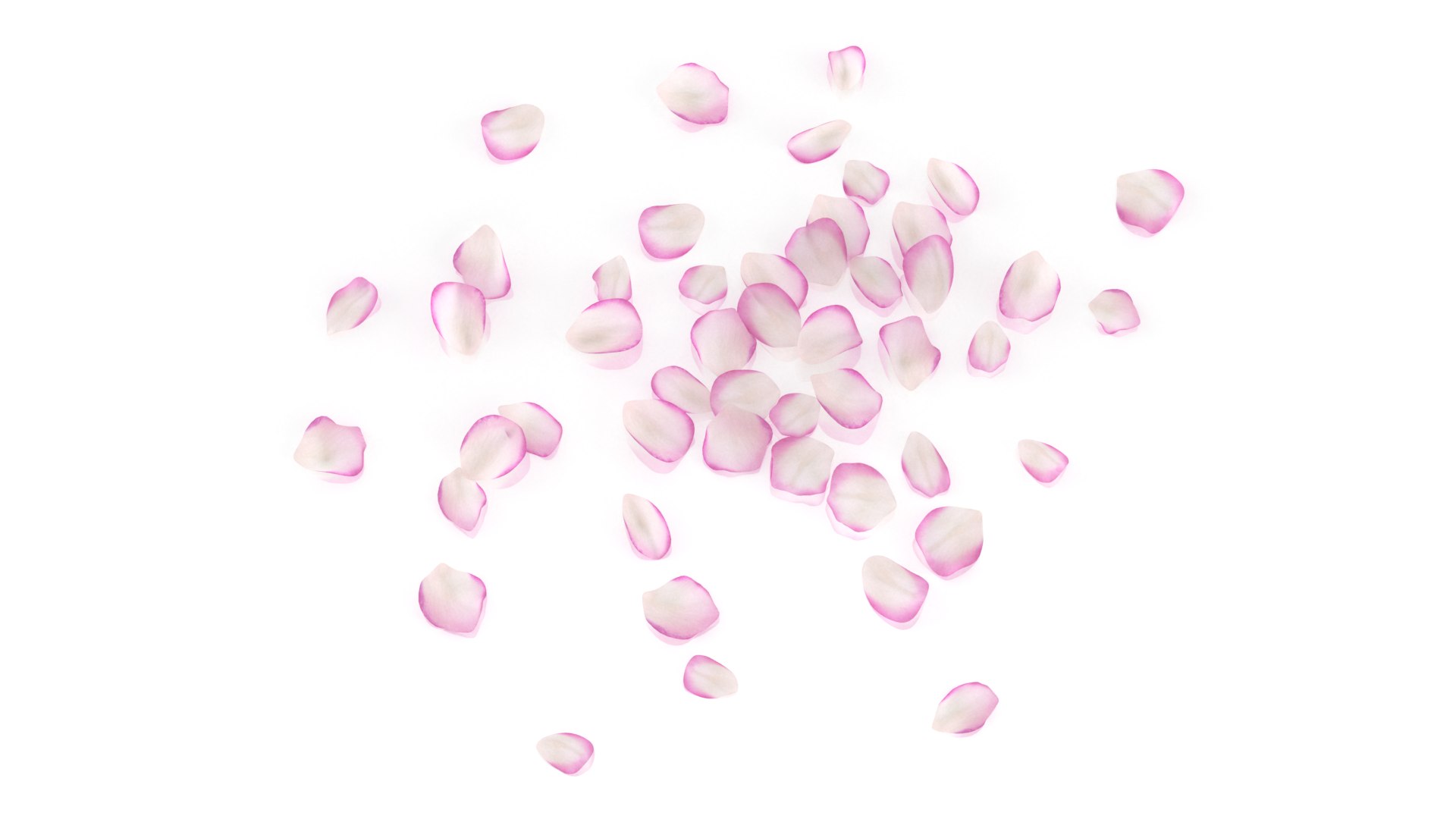 flower rose petal plant model https://p.turbosquid.com/ts-thumb/Bg/gBse9s/x4/4/png/1655148419/1920x1080/fit_q87/bbfc773c1130feb97b6b906681198f627b5d70b6/4.jpg