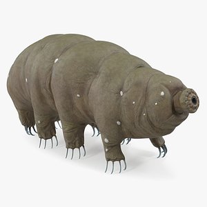 tardigrade rigged 3D