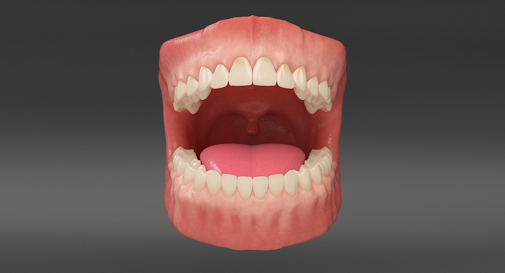 3D Anatomy Dental - TurboSquid 1347719