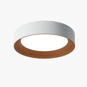 3D Modern Circular Ceiling Light