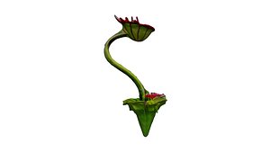 3D Blooming Carnivorous Plant