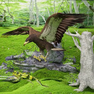 3D Eagle Attack 2