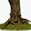 tree root trunk 3d model