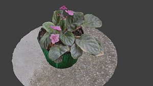 3D Little Flower Vase SCANNED