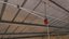 Коллекция Chicken Barn