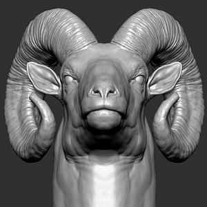 Bighorn sheep muflon Head 3D model
