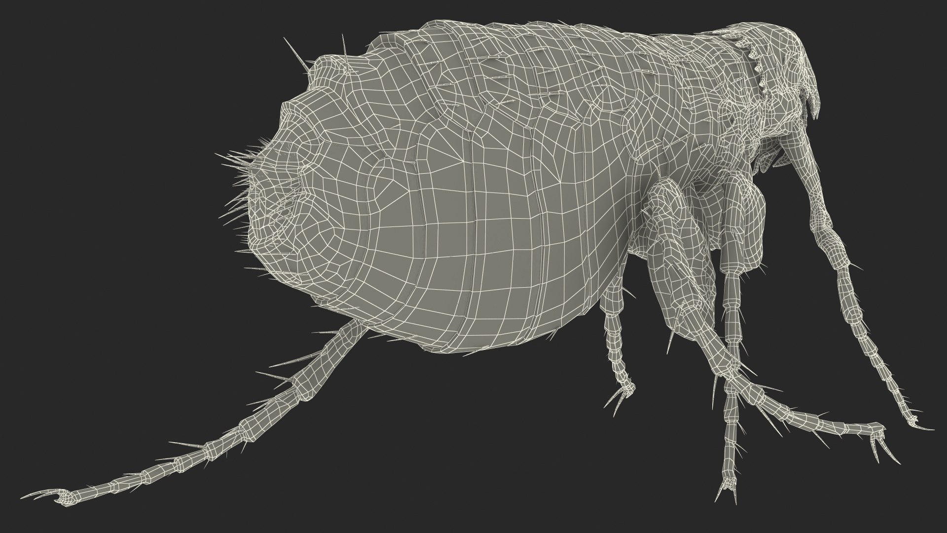 3D Flea Walking Pose Model - TurboSquid 1583855