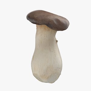 King Oyster Mushroom 3D model