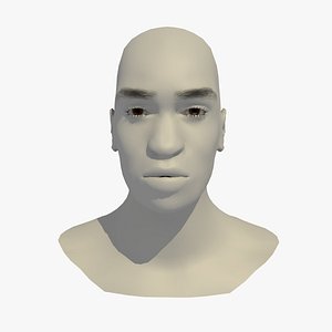 Rigged 24 Year Old African Male Base Head Mesh