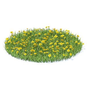grass sow-thistle model
