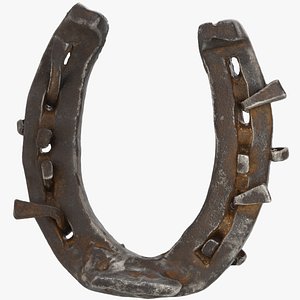 Horseshoe old 3D model