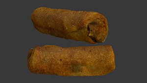 3D Spring Roll Scan