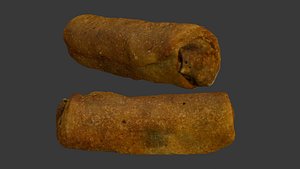 Spring Roll Scan