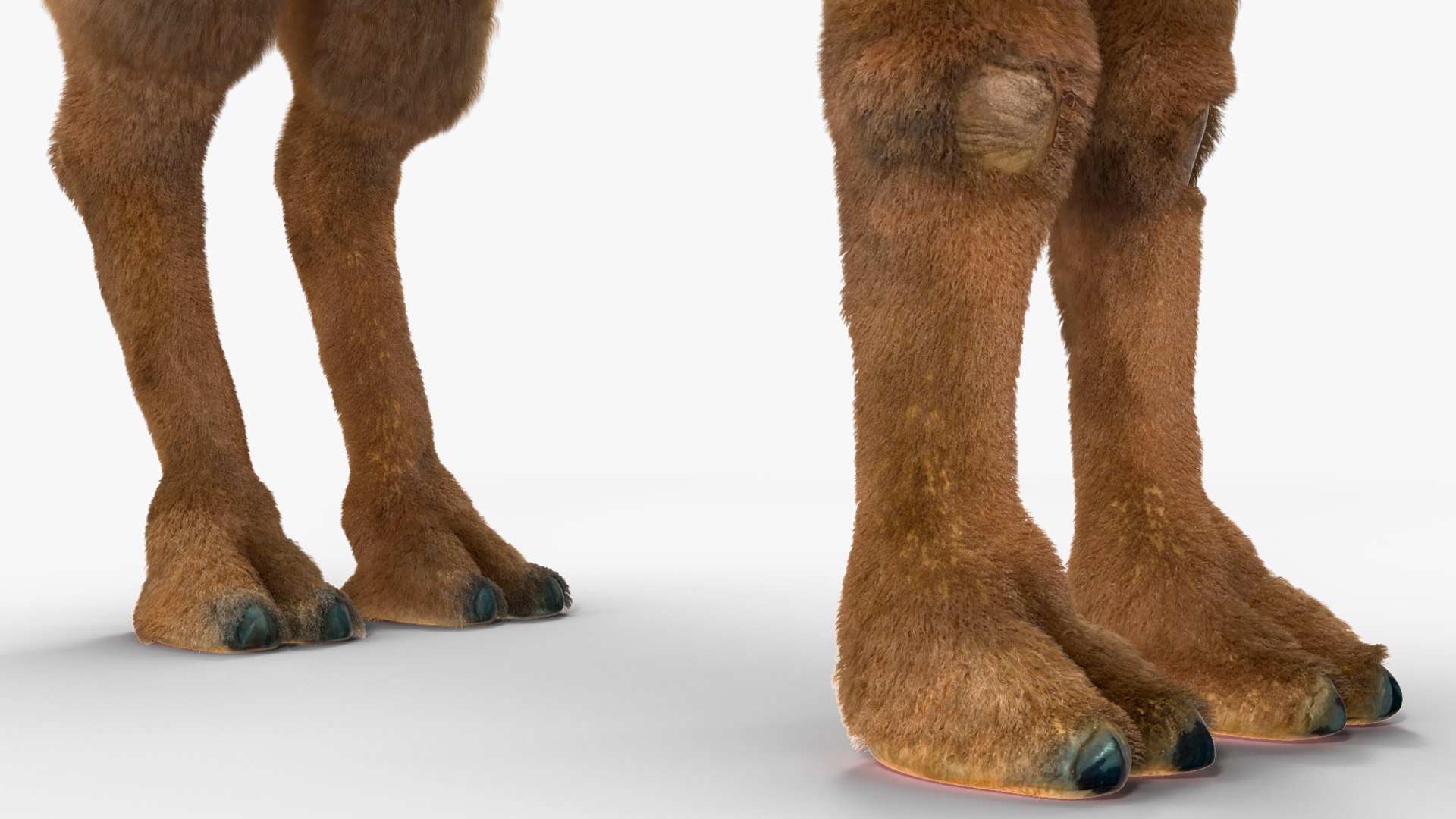 3D Bactrian Camel Standing Pose Fur model https://p.turbosquid.com/ts-thumb/Bi/Dv3H9b/kD/bactriancamelstandingposefurvray3dmodel013/jpg/1724759078/1920x1080/fit_q87/c6cda4533ae9e8822070897a21023d022377489f/bactriancamelstandingposefurvray3dmodel013.jpg