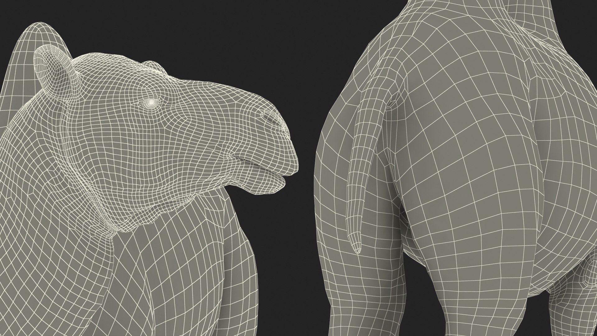 3D Bactrian Camel Standing Pose Fur model https://p.turbosquid.com/ts-thumb/Bi/Dv3H9b/yb/bactriancamelstandingposefurvray3dmodel026/jpg/1724759134/1920x1080/fit_q87/6f741a6a7b9010af7742750769a6f0b51d04d5cc/bactriancamelstandingposefurvray3dmodel026.jpg