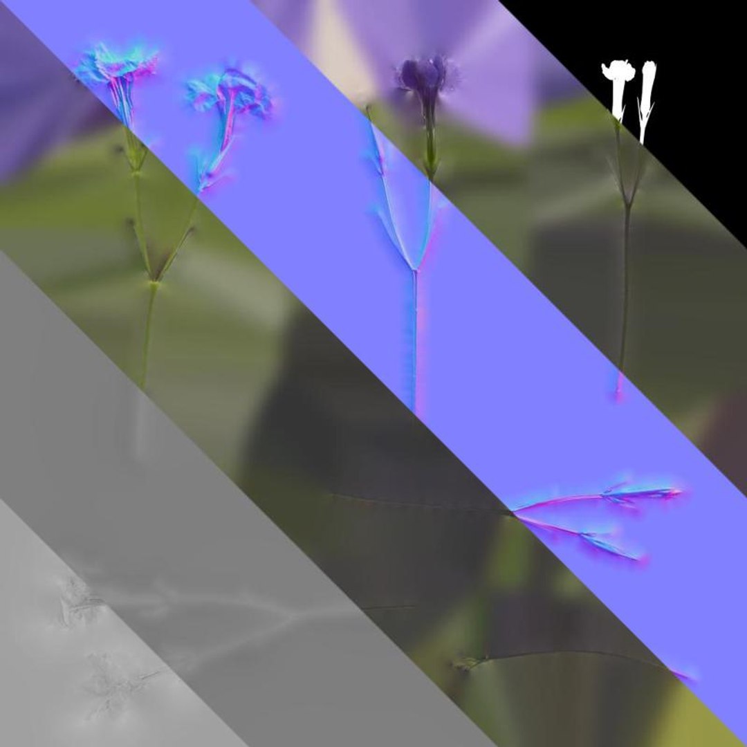 3D Anydrafts Ruellia Simplex Atlas 03 Textures - TurboSquid 2358475