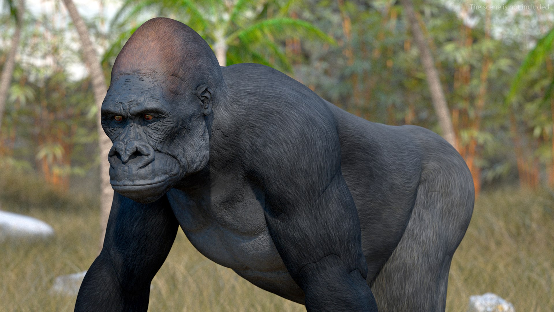 3D Eastern Gorilla Walking Pose https://p.turbosquid.com/ts-thumb/Bi/Kshk7f/08/easterngorillawalkingpose3dmodel008/jpg/1708661254/1920x1080/fit_q87/0057883b08879919c6c0955971bafe0a8ba83f47/easterngorillawalkingpose3dmodel008.jpg