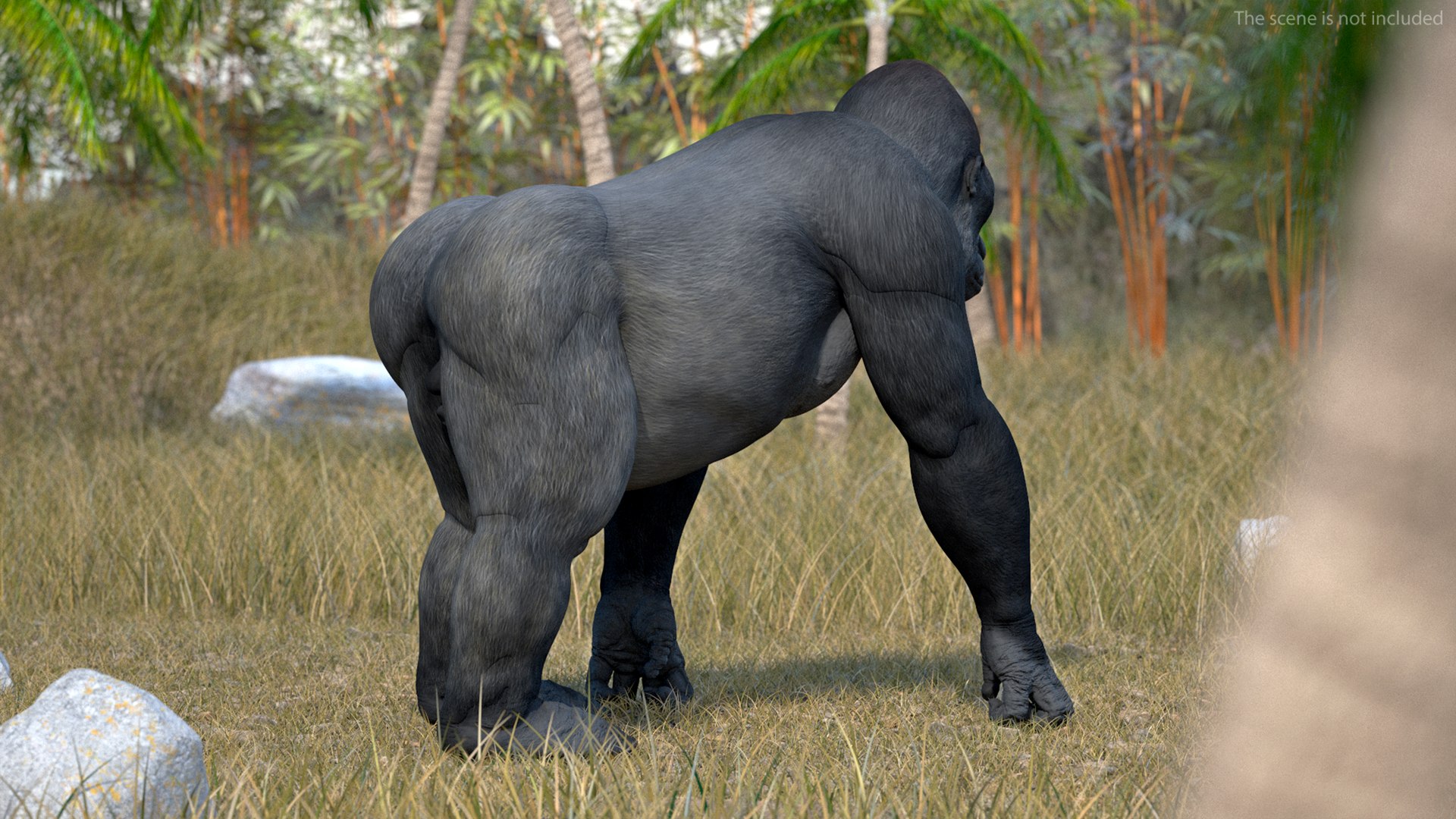 3D Eastern Gorilla Walking Pose https://p.turbosquid.com/ts-thumb/Bi/Kshk7f/GA/easterngorillawalkingpose3dmodel006/jpg/1708661241/1920x1080/fit_q87/b7d3c9658f1460603f15d7e82b7b891ca67919cd/easterngorillawalkingpose3dmodel006.jpg