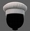 Cap V19