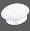 Cap V19