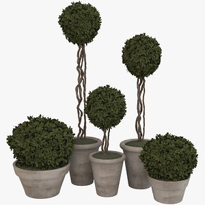 Deco Pot 310