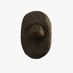 3D model Anydrafts Cinnamomum burmannii Burl 08