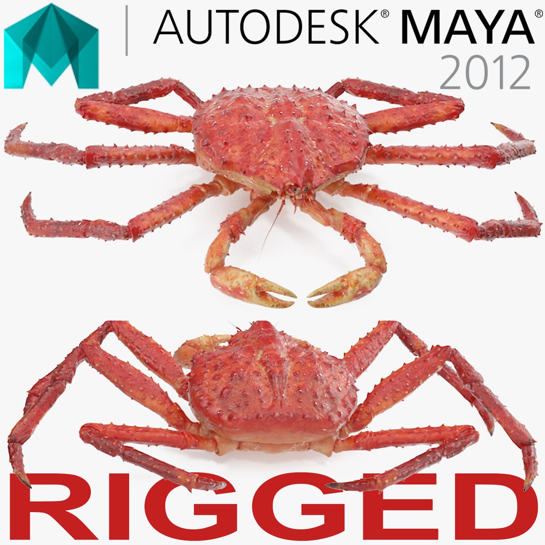 Red King Crab Rigged for Maya 3D model preview