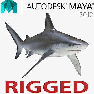 Bignose Shark Rigged for Maya 3D Model