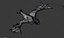 vampire bat