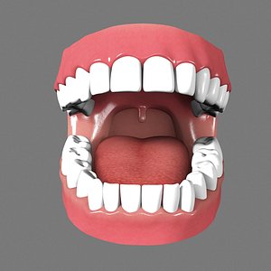 human mouth 3d model