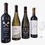 conjunto de botella de vino 13