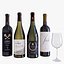 conjunto de botella de vino 13