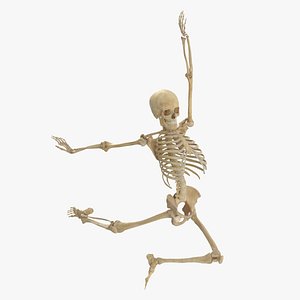 3D Real Human Female Skeleton Pose 95