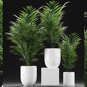 3D model plants 193