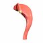 3D model female reproductive