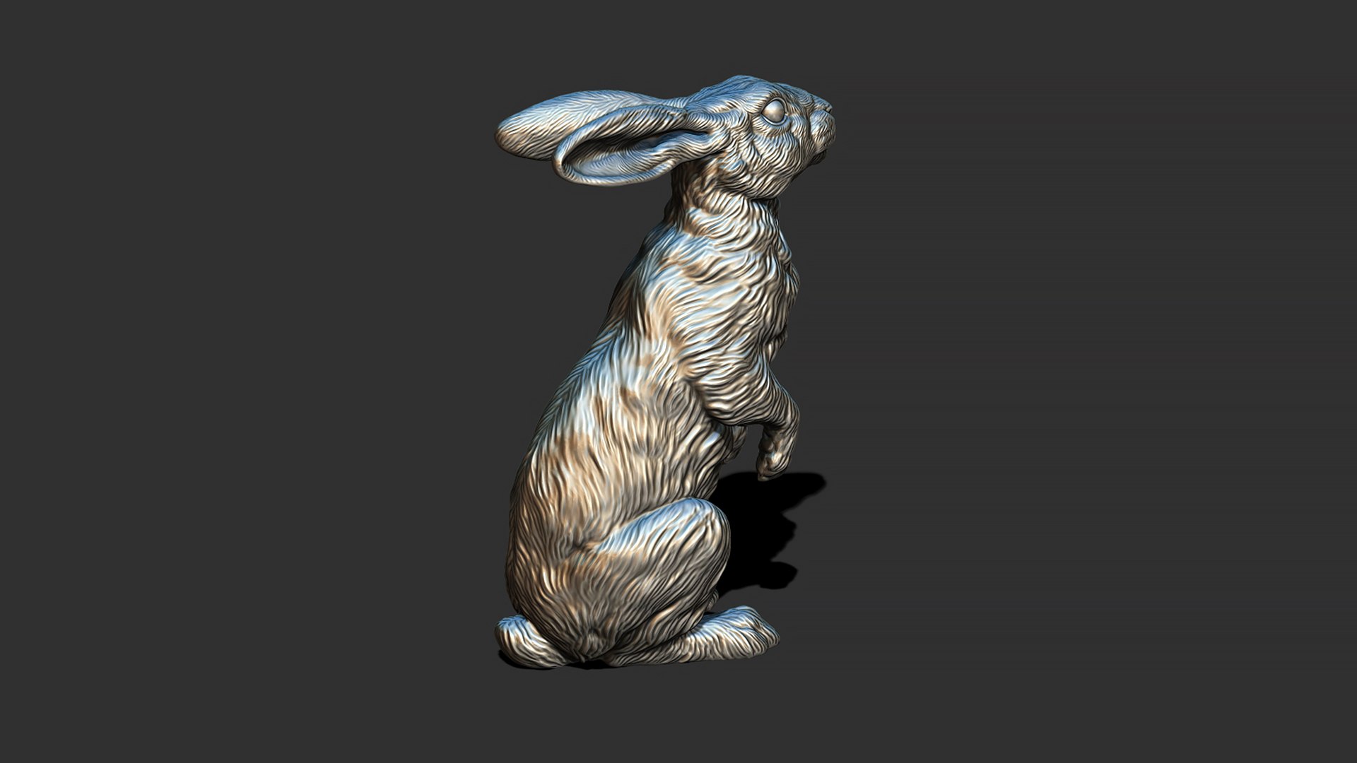 Hare sitting 3D model https://p.turbosquid.com/ts-thumb/Bj/aIbVfK/Bz/25/jpg/1670849306/1920x1080/fit_q87/b40c6cd1166b8215660eb6930075ae2a44dcad01/25.jpg
