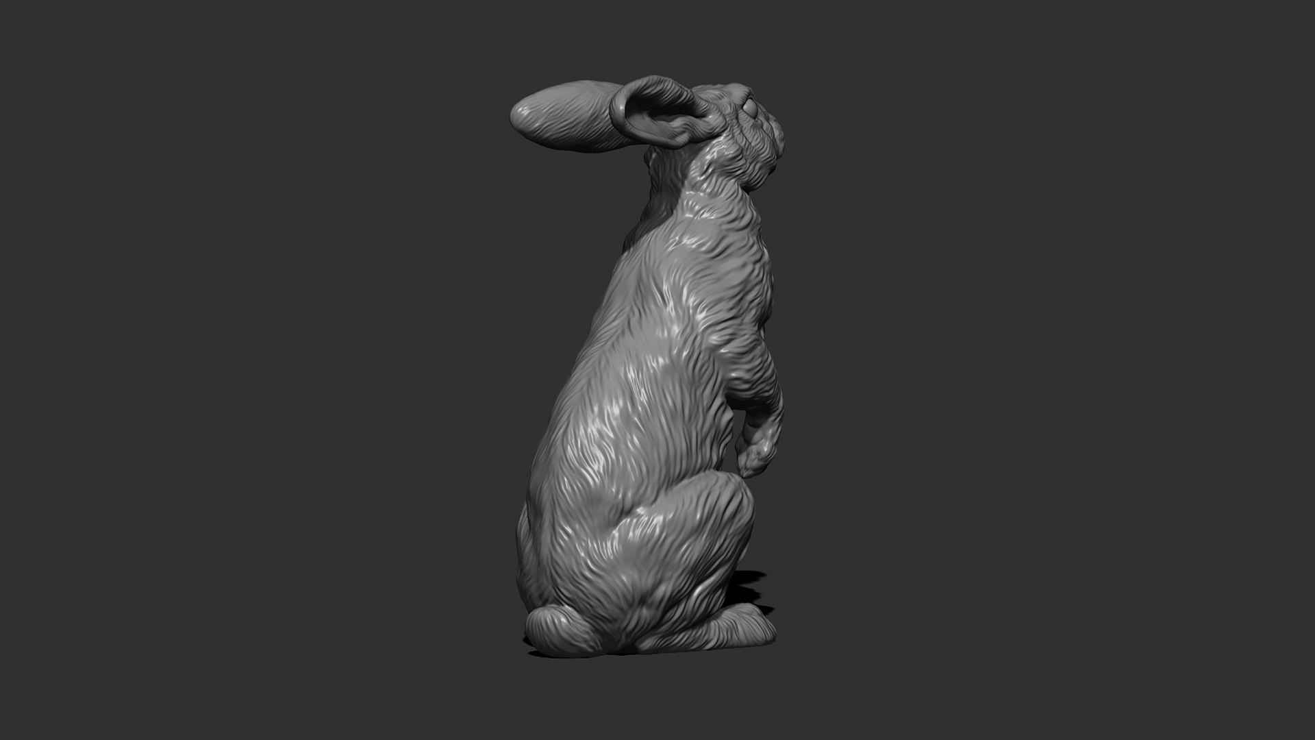 Hare sitting 3D model https://p.turbosquid.com/ts-thumb/Bj/aIbVfK/Hd/9/jpg/1670849304/1920x1080/fit_q87/6ba685e49951a2b457ad4c6d3b23c767500d2acc/9.jpg