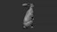 Hare sitting