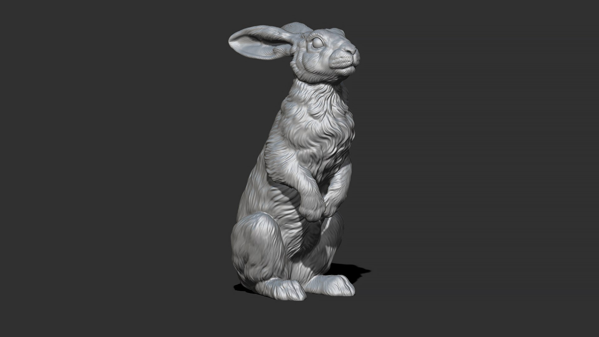 Hare sitting 3D model https://p.turbosquid.com/ts-thumb/Bj/aIbVfK/Ix/27/jpg/1670849306/1920x1080/fit_q87/522fc745ccadb00bf3aa3e087196a805550c51c8/27.jpg