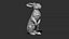 Hare sitting