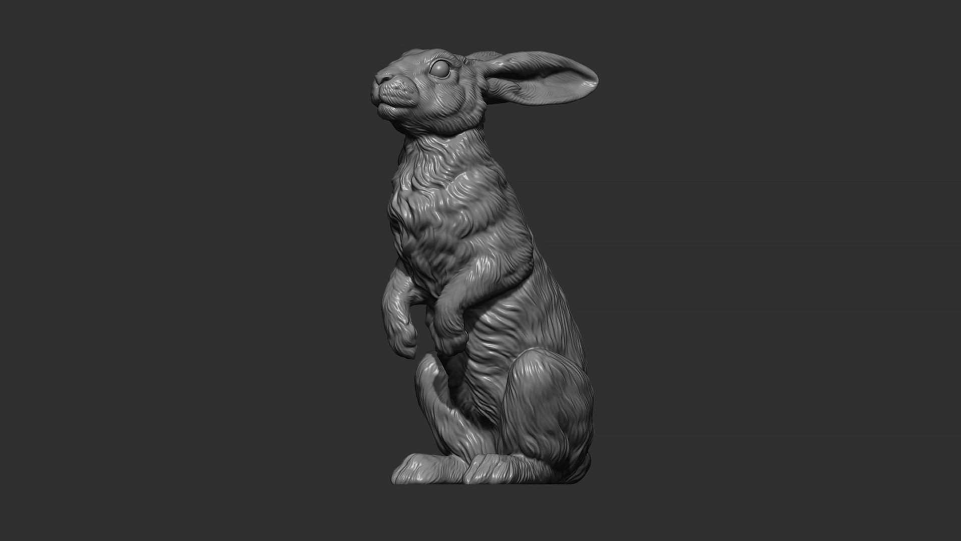 Hare sitting 3D model https://p.turbosquid.com/ts-thumb/Bj/aIbVfK/Pj/12/jpg/1670849303/1920x1080/fit_q87/2e9ef83cddf7a1e44496b76cc2e3f982aa60436e/12.jpg