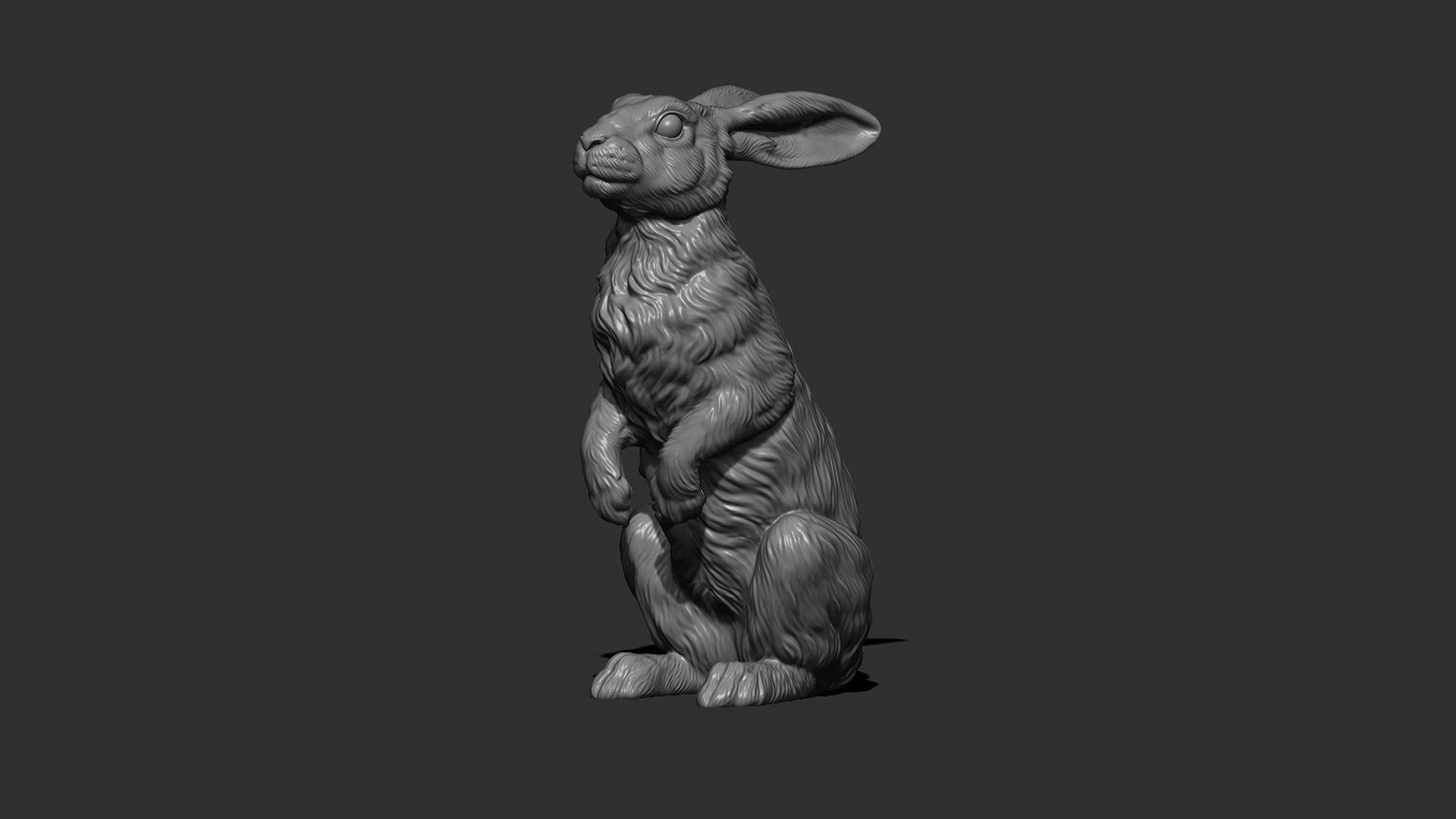 Hare sitting 3D model https://p.turbosquid.com/ts-thumb/Bj/aIbVfK/Tg/6/jpg/1670849298/1920x1080/fit_q87/fb44c9a24b82ca3f20db8f307387683dc2114dd4/6.jpg