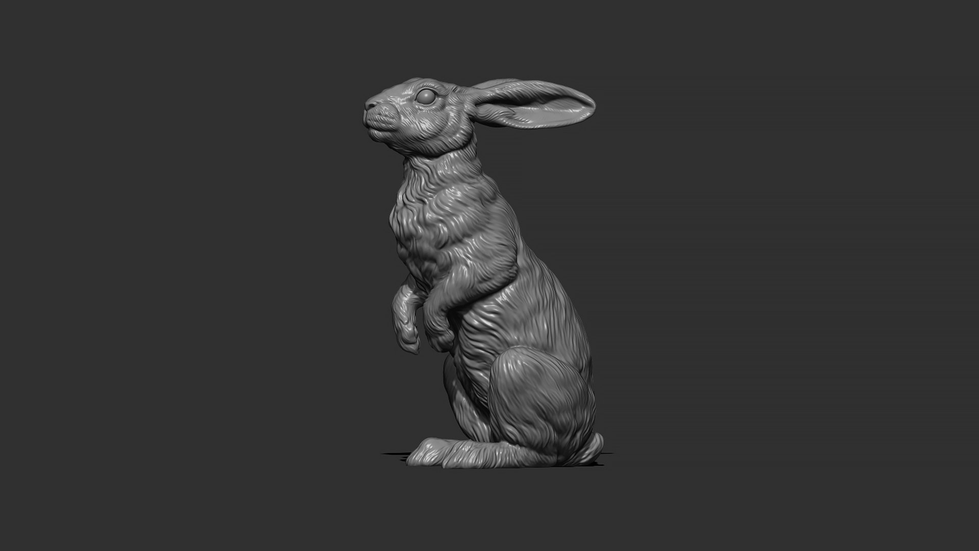 Hare sitting 3D model https://p.turbosquid.com/ts-thumb/Bj/aIbVfK/WF/7/jpg/1670849299/1920x1080/fit_q87/e988dee01946b71d04589a09d88c0855f6c23f2e/7.jpg