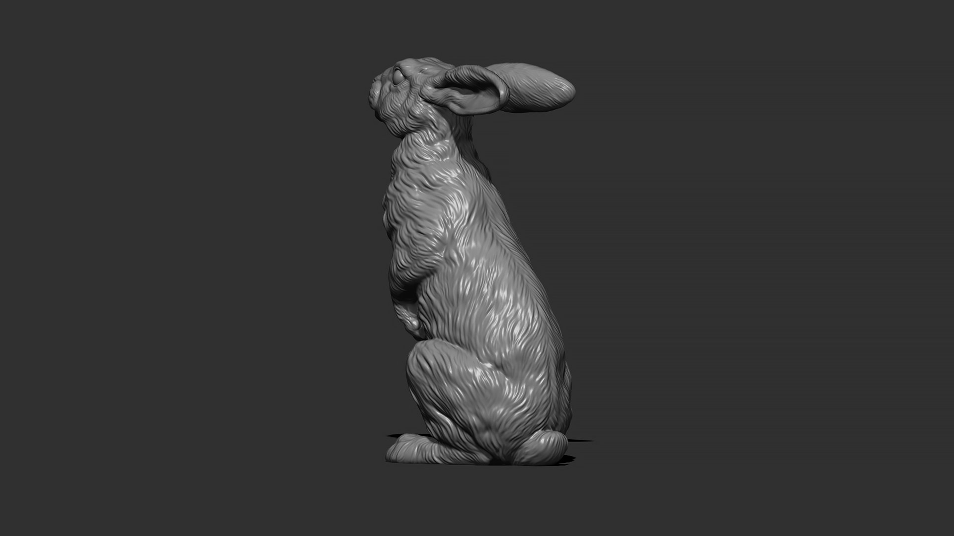 Hare sitting 3D model https://p.turbosquid.com/ts-thumb/Bj/aIbVfK/XX/8/jpg/1670849299/1920x1080/fit_q87/87327f2ed4e26903197f4e7e144a654212bfd3e5/8.jpg